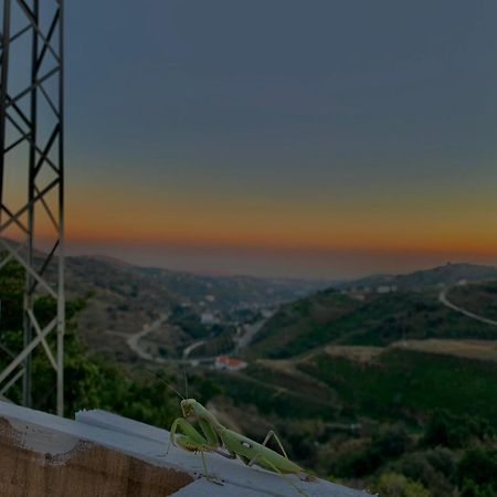Casa Rural Malaga Monkey Love Con Jacuzzi Iznate Екстериор снимка